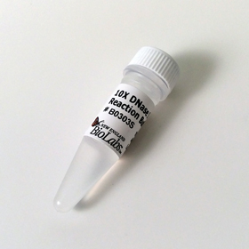DNase I Reaction Buffer