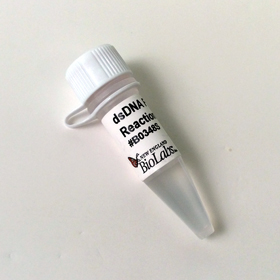 NEBNext dsDNA Fragmentase Reaction Buffer