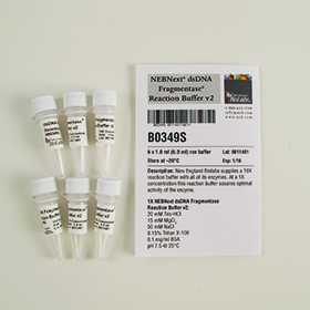NEBNext dsDNA Fragmentase Reaction Buffer v2