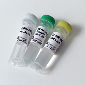 Phusion GC Buffer Pack
