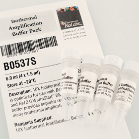 Isothermal Amplification Buffer