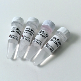 Endoglycosidase Reaction Buffer Pack