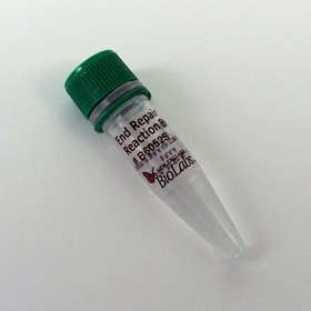 NEBNext End Repair Reaction Buffer