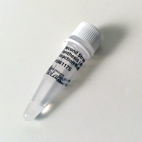 NEBNext Second Strand Synthesis dNTP free Reaction Buffer