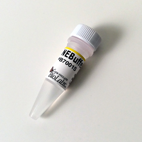 NEBuffer 1