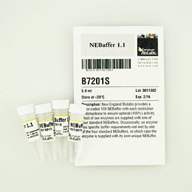 NEBuffer 1 1