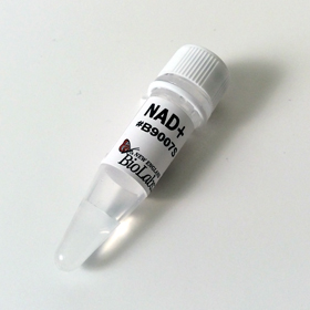 beta Nicotinamide adenine dinucleotide NAD