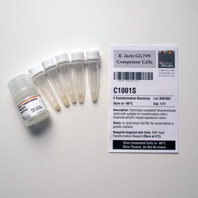 K lactis GG799 Competent Cells