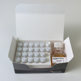 T7 Express Competent E coli High Efficiency