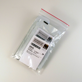 Quick Blunting and Quick Ligation Kits