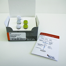 Q5 Site Directed Mutagenesis Kit Without Competent Cells