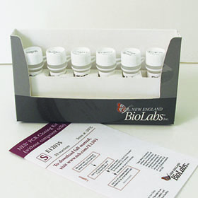 NEB PCR Cloning Kit Without Competent Cells