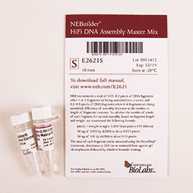 NEBuilder HiFi DNA Assembly Bundle for Large Fragments