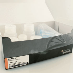 EpiMark Bisulfite Conversion Kit