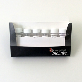 Taq PCR Kit