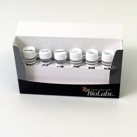 LongAmp Taq PCR Kit