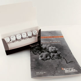 OneTaq RT PCR Kit