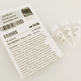EpiMark Nucleosome Assembly Kit