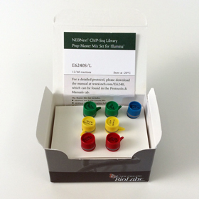 NEBNext ChIP Seq Library Prep Master Mix Set for Illumina