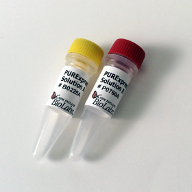 PURExpress In Vitro Protein Synthesis Kit