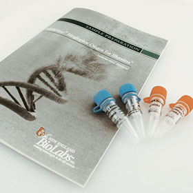 NEBNext Singleplex Oligos for Illumina