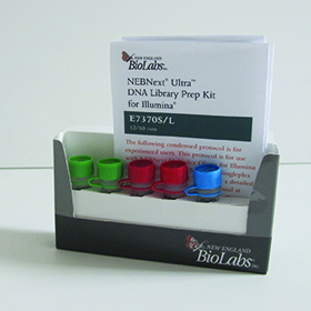 NEBNext Ultra DNA Library Prep Kit for Illumina