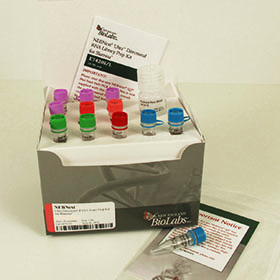 NEBNext Ultra Directional RNA Library Prep Kit for Illumina