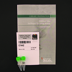 NEBNext Ultra End Repair dA Tailing Module