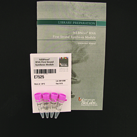 NEBNext RNA First Strand Synthesis Module