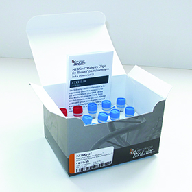 NEBNext Multiplex Oligos for Illumina Methylated Adaptor Index Primers Set 1