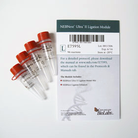 NEBNext Ultra II Ligation Module