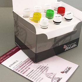 NEBNext Library Quant Kit for Illumina