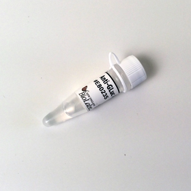 Anti GLuc Antibody