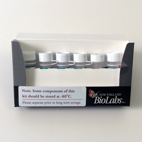 Ph D 12 Phage Display Peptide Library Kit