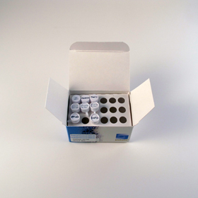IsoAmp II Universal tHDA Kit