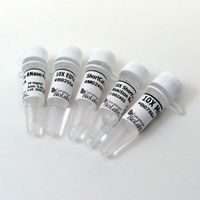 ShortCut RNase III