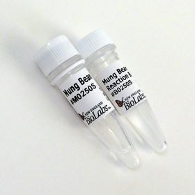 Mung Bean Nuclease