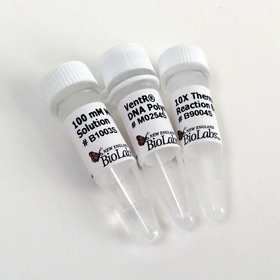 Vent DNA Polymerase