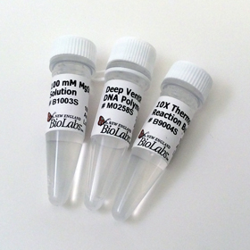 Deep Vent DNA Polymerase