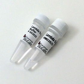 Lambda Exonuclease