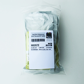 Taq DNA Polymerase with ThermoPol Buffer