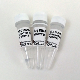 Taq DNA Polymerase with Standard Taq Buffer