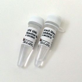 Uracil Glycosylase Inhibitor UGI