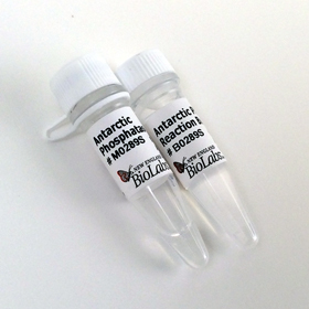 Antarctic Phosphatase