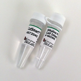 Alkaline Phosphatase Calf Intest CIP