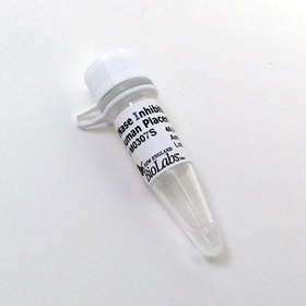 RNase Inhibitor Human Placenta