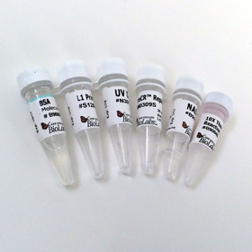 PreCR Repair Mix