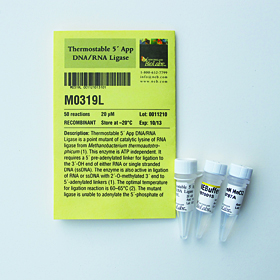 Thermostable 5 App DNA RNA Ligase