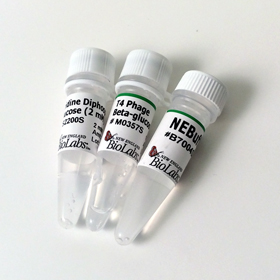 T4 Phage beta glucosyltransferase