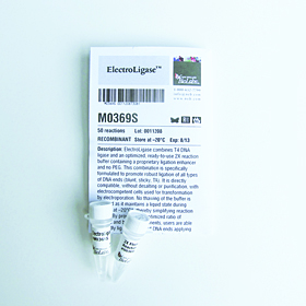 ElectroLigase